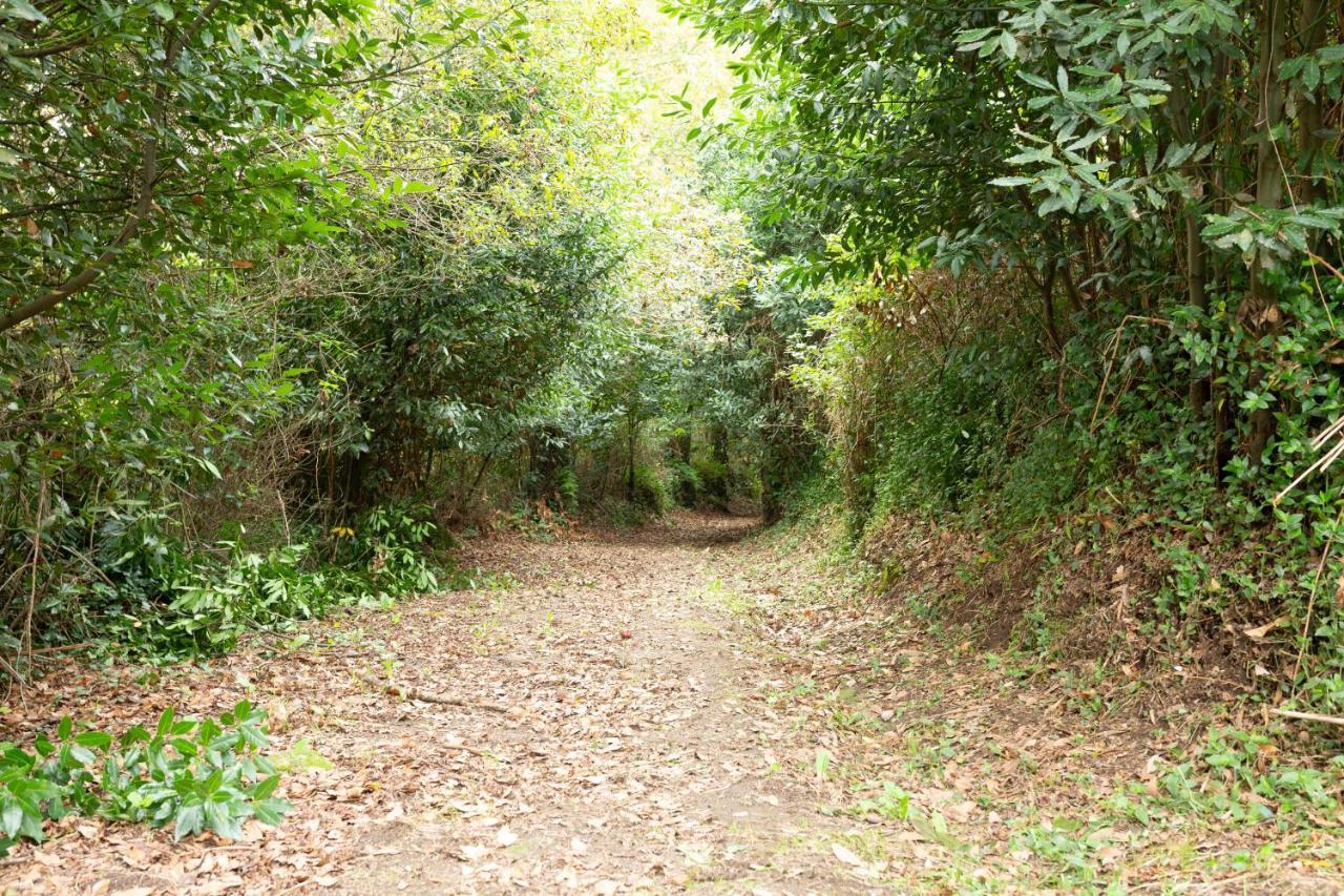 Casa Rural Priorato San Martin ξενώνας Amés Εξωτερικό φωτογραφία